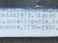 www.scheen.co - Loki Bruckman