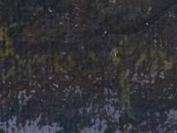 www.scheen.co