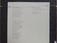 Montyn - www.scheen.co