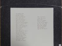 Montyn - www.scheen.co