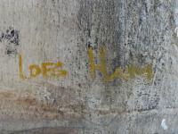 Loes Ham - www.scheen.co