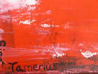 Sira Tamerius - www.scheen.co