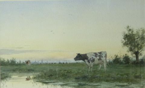A.J. Groenewegen - www.scheen.co